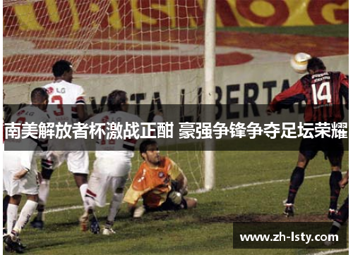 南美解放者杯激战正酣 豪强争锋争夺足坛荣耀