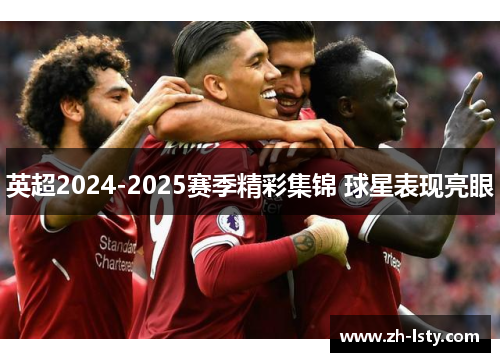英超2024-2025赛季精彩集锦 球星表现亮眼 英超2024-2025赛季精彩集锦 球星表现亮眼